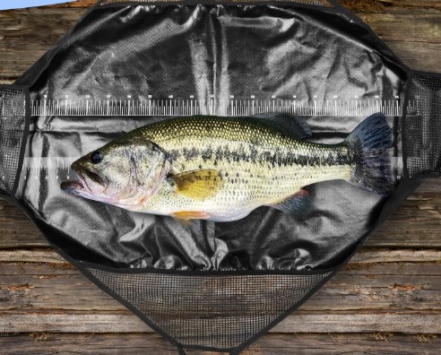 Photographed Fishing Unhooking - Fishing Bag Waterproof のレビューと価格